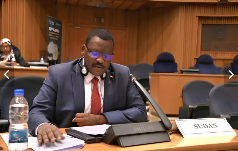 السفير الزين إبرتهيم حسين